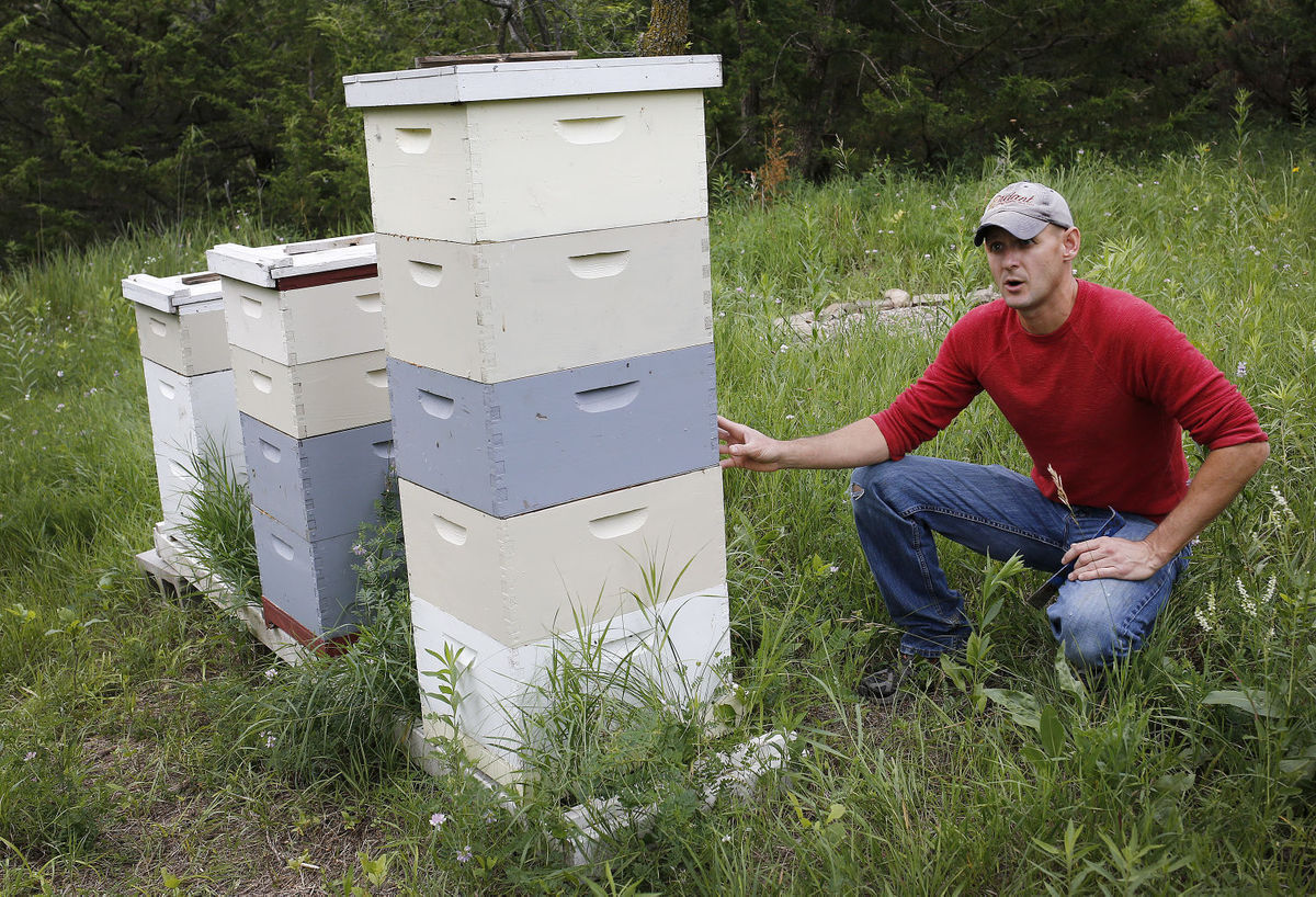 Sioux City honey business